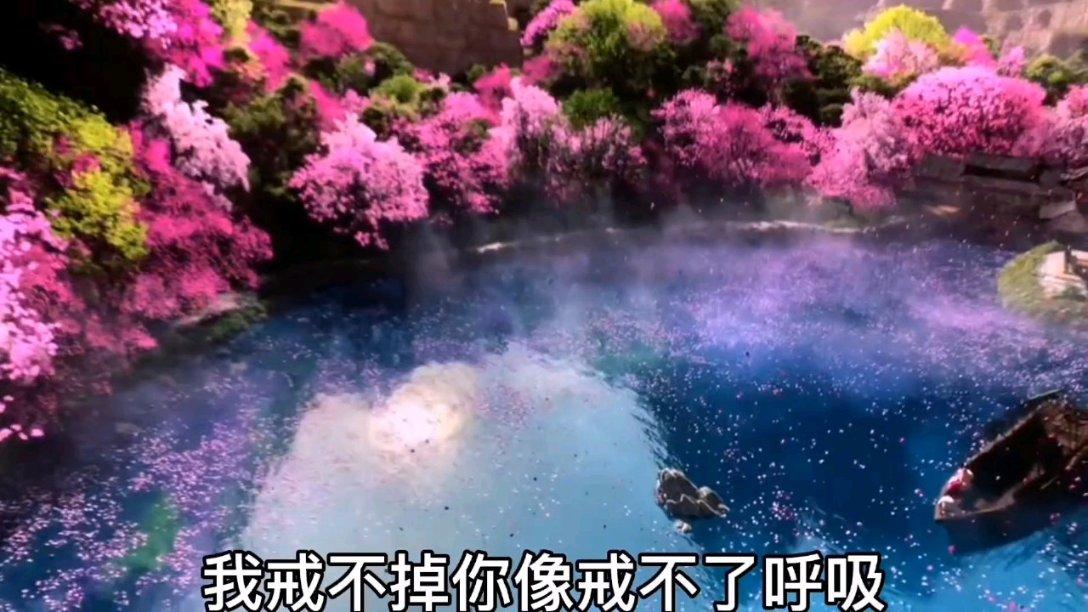 动物帮帮忙保卫家园