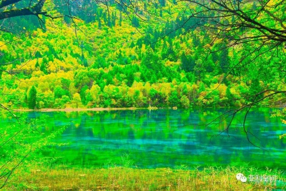 励志古诗词经典名句游戏画面